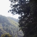 소백슈퍼 이미지