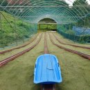 인처골마을 이미지