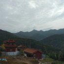 리코여행사
