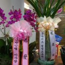 백양한의원 이미지