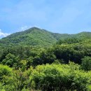 북내초등학교도전분교장 이미지