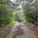 산외면~종산리 이미지