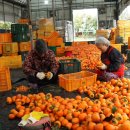 종현농장 이미지