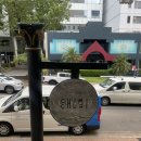 씨드풋볼 | 앞으로 해도 252, 뒤로 해도 252일째 (채스우드 치미추리, 시드니 천문대, 마제소바 맛집, 오페라하우스...