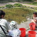 화정초병설유치원 이미지