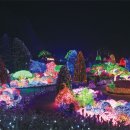 불빛 축제-겨울밤에 불을 밝히다 ... 이미지