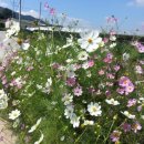 준선농장 이미지