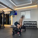 랩 지피티짐 이미지