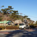 죽림3로가로수 이미지