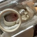 모아제일산부인과의원 네이버블로그