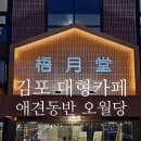반려와 | 김포 대형카페 반려동물 동반 가능한 오월당 후기