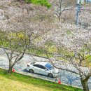 한수제 일원 이미지