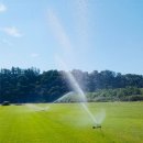 삼일농장 이미지