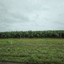 민속촌가든 이미지