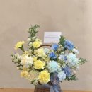 블룸더소브니