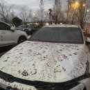 카월드24시 셀프세차장 | 광주북구 에스지오토월드 본촌동 일곡동 24시 셀프세차장