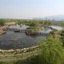 삼락생태공원 이미지