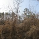 포항시북구82 이미지