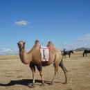 황금언덕 이미지