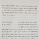 내안의빛연구소 이미지