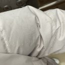 오월의 동물병원 | 7. 난 오월의 꿈을 꾸는 아이야