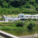 비브릿지 이미지