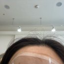 장미미장원 이미지