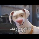 댕댕슈퍼 이미지