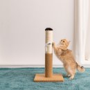 네코모리 이미지