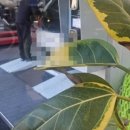 병영점 기아오토큐 이미지