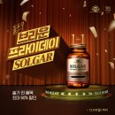 솔가