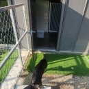 로뎀종합동물병원 이미지