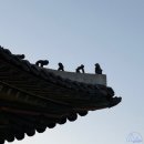 [서울] 창경궁 야간개장 - 물빛 연화 미디어아트 후기