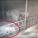 제주야생동물구조센터 이미지