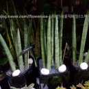 수원시 팔달구 팔달문로81번길 이미지