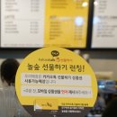 놀숲원주 이미지