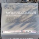 제주 이교동 일제군사시설 이미지