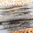 횡성더덕상회 이미지