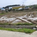 압해공인중개사사무소 이미지