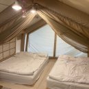 서울YMCA다락원캠프장 | 🏕️ 강아지랑 택시 타고 떠난 봄날 도심 글램핑 | 피카푸 YMCA 도봉산점 에어텐트 후기