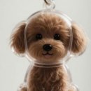 패밀리 동행 이미지