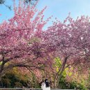 양지-3557 이미지