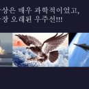대붕 이미지