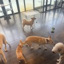 독크루북구점 이미지