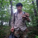 백두농장 이미지