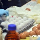 이병찬농장 이미지