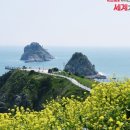 부산분포문화체육센터 이미지