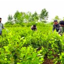 해선농장 이미지