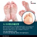 레푸스 판교점 이미지
