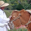 횡성한우프라자 우천점 이미지